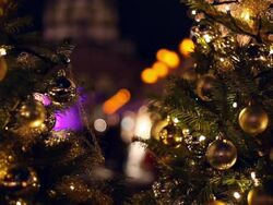 Christmas Market with Christmas-trees Stock Footage