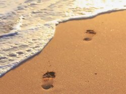 Footprints in the sand Stock Footage