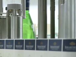 MS champagne bottles Lable on production line / Ayl, Rhineland-Palatinate, Germany Stock Footage