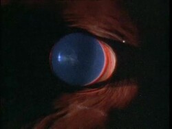 Vampire squid (Vampyroteuthis diabolus) eye Stock Footage