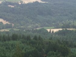 WS TU PAN View of Oregon countryside with farms and trees and Dramatic clouds over / Cornelius, Oregon, United States  Stock Footage