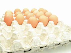 Egg for one year - Stop Motion Stock Footage