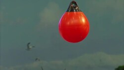 Dolphins performing tricks in a dolphinarium News Clip