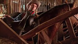 DS Male rancher putting a saddle on his horse Stock Footage