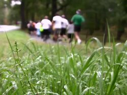 Competition Stock Footage