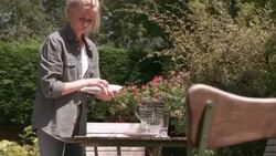 Garden laying table Stock Footage