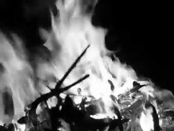 Black and White Camp fire Stock Footage