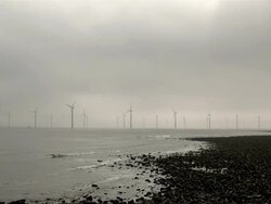 SOUTH GARE Stock Footage