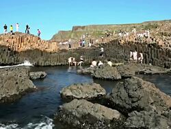 WS View of Visitors at Giant's Causeway on sunny day / Giant's Causeway, Northern Ireland, United Kingdom  Stock Footage