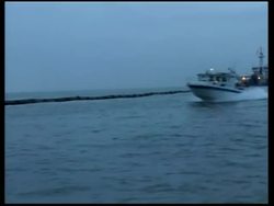 Oil spill in San Francisco News Clip