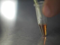 ECU, SELECTIVE FOCUS, Person extracting liquid from small test tube with syringe, close-up of hand Stock Footage