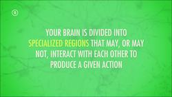 Central Nervous System: Crash Course A&P Instructional Video