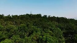 Aerial shot of financial district in City Taipei at dawn, Taiwan Stock Footage