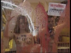 Semi-naked anti-fur activists storm Fendi shop News Clip