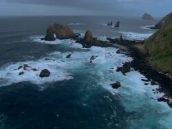 LOW AERIAL, Solander islands, New Zealand Stock Footage