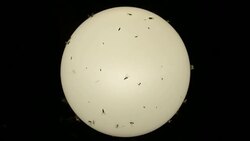 insects in the light of the night lantern Stock Footage