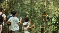 Argentine animal rescue centre teaches conservation News Clip