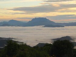 Fog on the mountain. Stock Footage