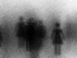 WOMAN : dense, white back - (LOOP) Stock Footage