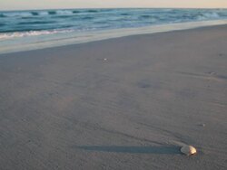 Long shadows on sunset beach Stock Footage