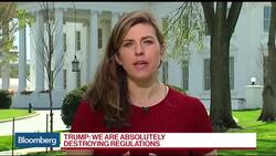 Trump Says Regulations Are Roadblocks to Infrastructure News Clip