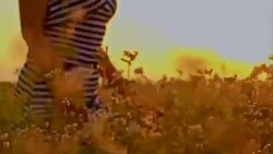 Woman walking through field of buckwheat Stock Footage