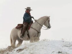 LA Cowgirl on a horse standing on snowy hilltop looking around / Shell, Wyoming, United States Stock Footage
