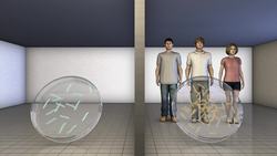 Human germ cloud: New study finds millions of identifiable bacteria surround every person Instructional Video