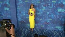 Minnie Driver at the HBO's Post Emmy Awards Reception - Arrivals Stock Footage