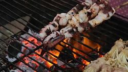 Grilled Squid Stock Footage