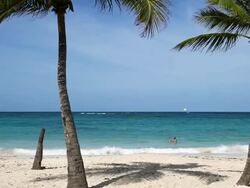 Caribbean Sea Stock Footage