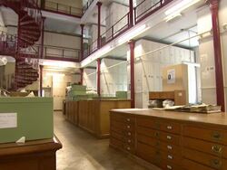 ATMOSPHERE: Kingdom of Plants 3D Interview at  Kew Stock Footage