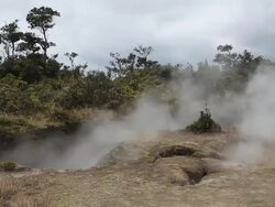 MS Shot of steam rising from steam vents and blowing in  wind over ferns, bushes and trees with dry soil at Volcanoes National Park / Volcano, Hawall, Big Island, United States Stock Footage