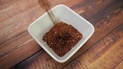 Quinoa foward Stock Footage