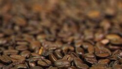 Coffee Beans Stock Footage
