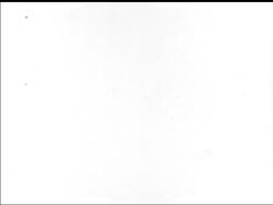 BRIDGEHEAD TO ROME - News Clip