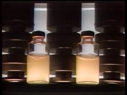 Attention is now shifting to the world's five leading flu vaccine makers, as health officials brace themselves for an upsurge in swine flu cases later this year News Clip