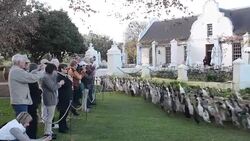 CLEAN : Duck! Birds used protect South African vineyard News Clip