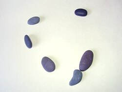 Heart from pebbles Stock Footage