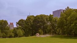 Central park in New York Stock Footage