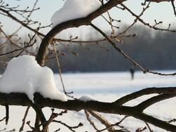 Winter landscape with snow Stock Footage