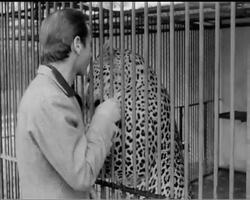 CHEZ NOUS - CHEZ ZOO! News Clip