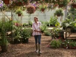 Woman shopping in plant nursery greenhouse Stock Footage