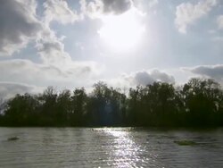 MS POV Shot of Atchafalaya Basin swamp / Atchafalaya Basin, Louisiana, United States Stock Footage