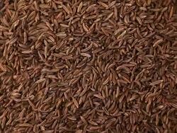 Cumin spice. Kitchen herbs background Stock Footage