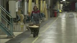A paper mill employee pushes a wheelbarrow full of wood chips. Stock Footage