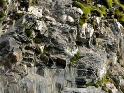  MS Detail of  bedrock  /  Kastel-Staadt, Rhineland-Palatinate, Germany Stock Footage