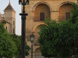 LS facade of the Cathedral-Mosque Stock Footage
