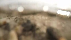 Waves. Slow motion Stock Footage