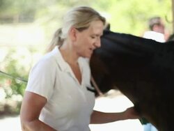 MS TU TD PAN Woman brushing brown horse with white streak / Los Angeles, CA, United States Stock Footage